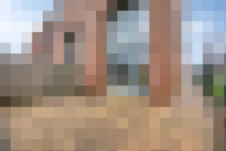 Ridderspoortuin 1 Bergschenhoek thumbnail 8