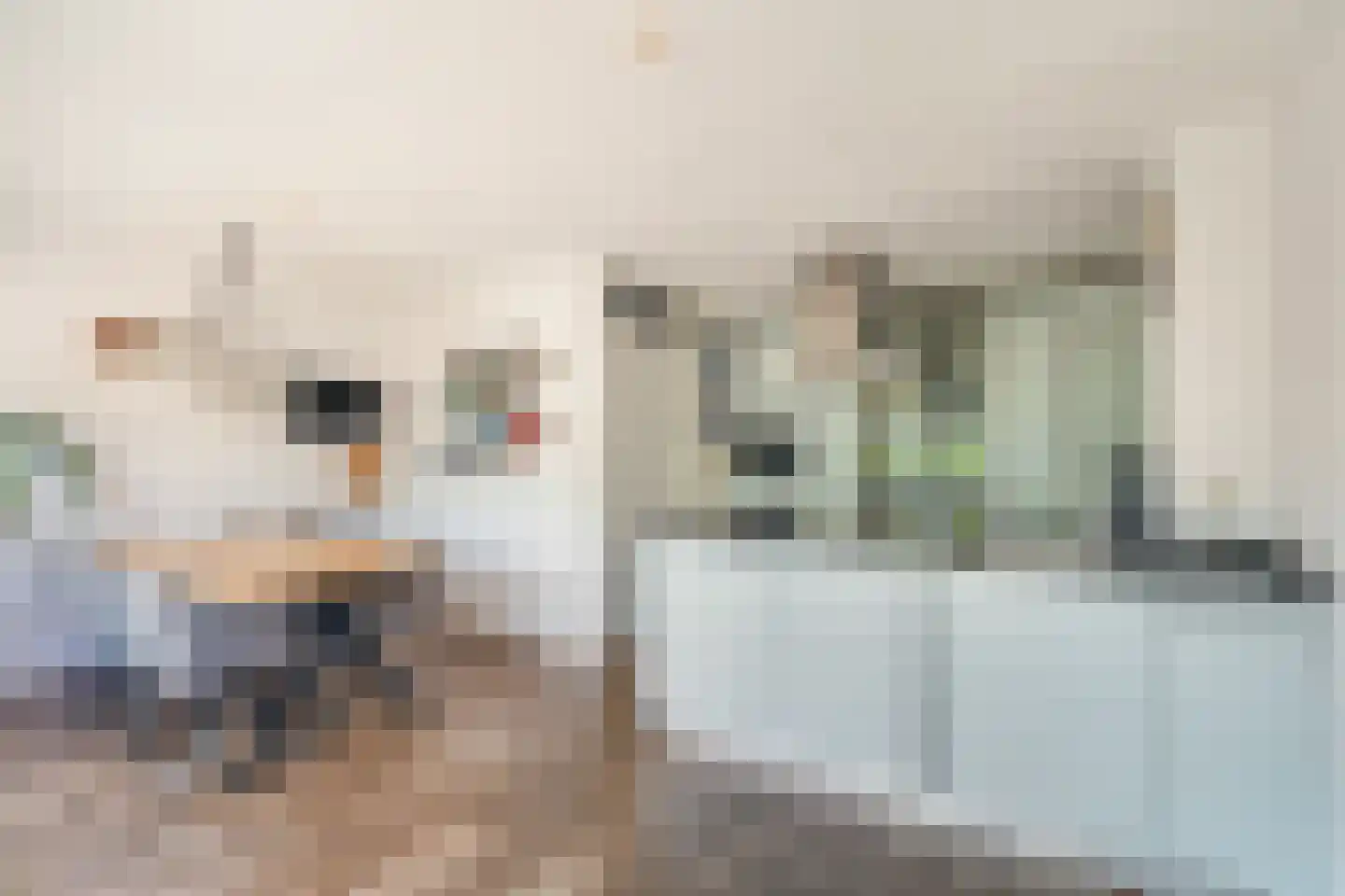 Ridderspoortuin 4 Bergschenhoek thumbnail 11