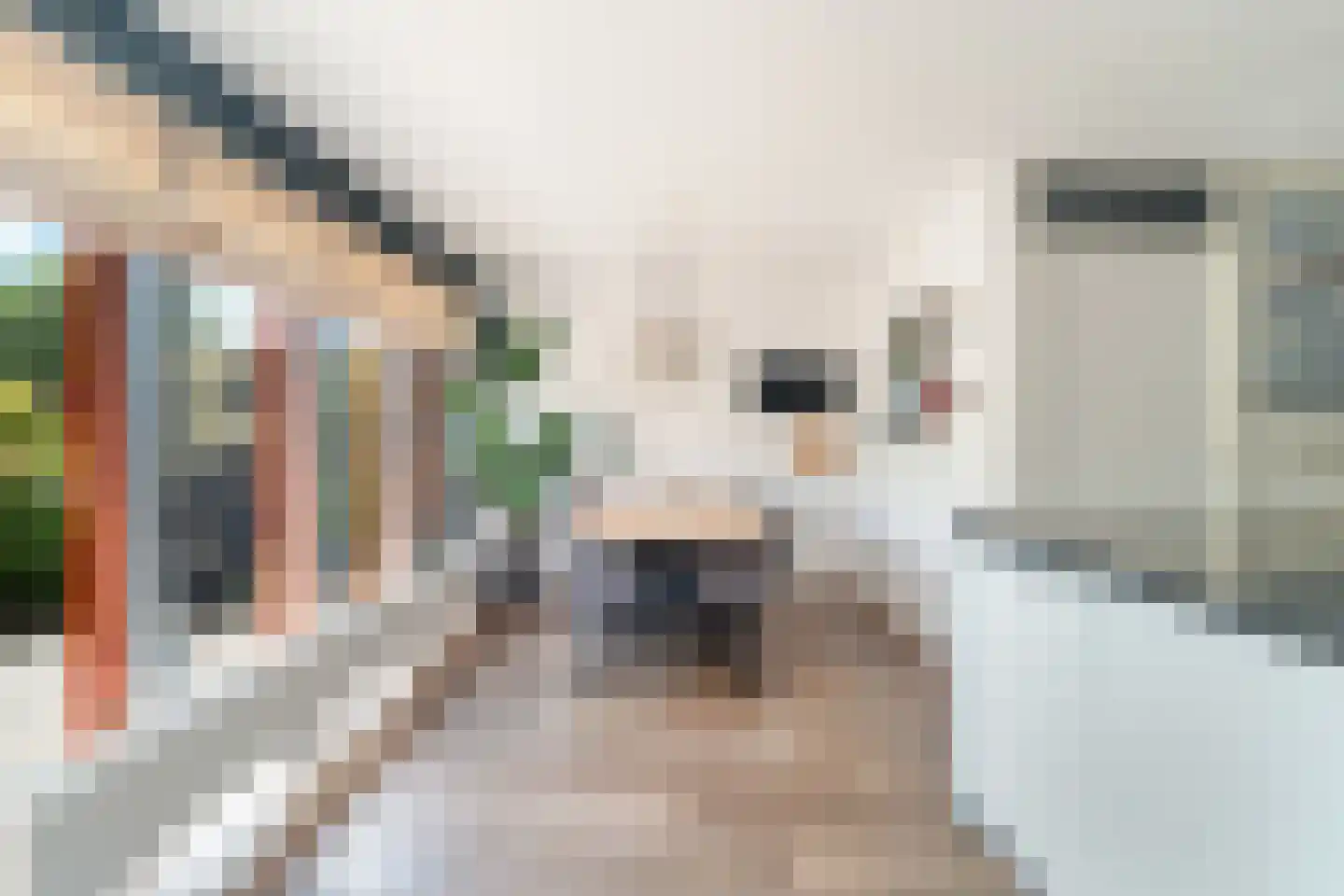 Ridderspoortuin 4 Bergschenhoek thumbnail 12