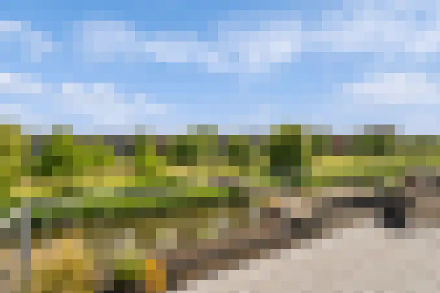Ridderspoortuin 4 Bergschenhoek thumbnail 42