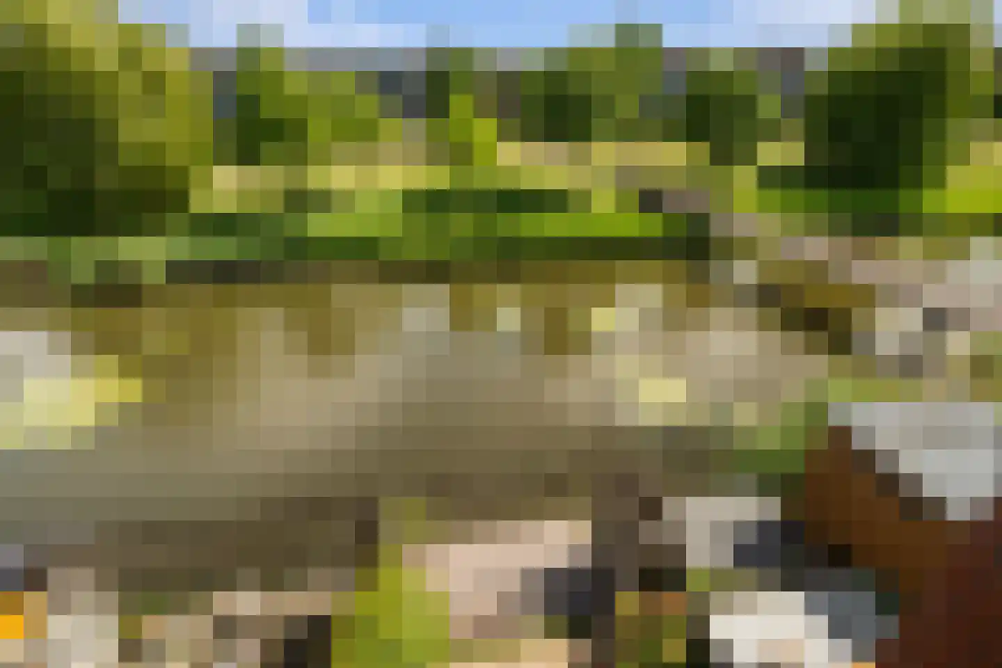 Ridderspoortuin 4 Bergschenhoek thumbnail 43