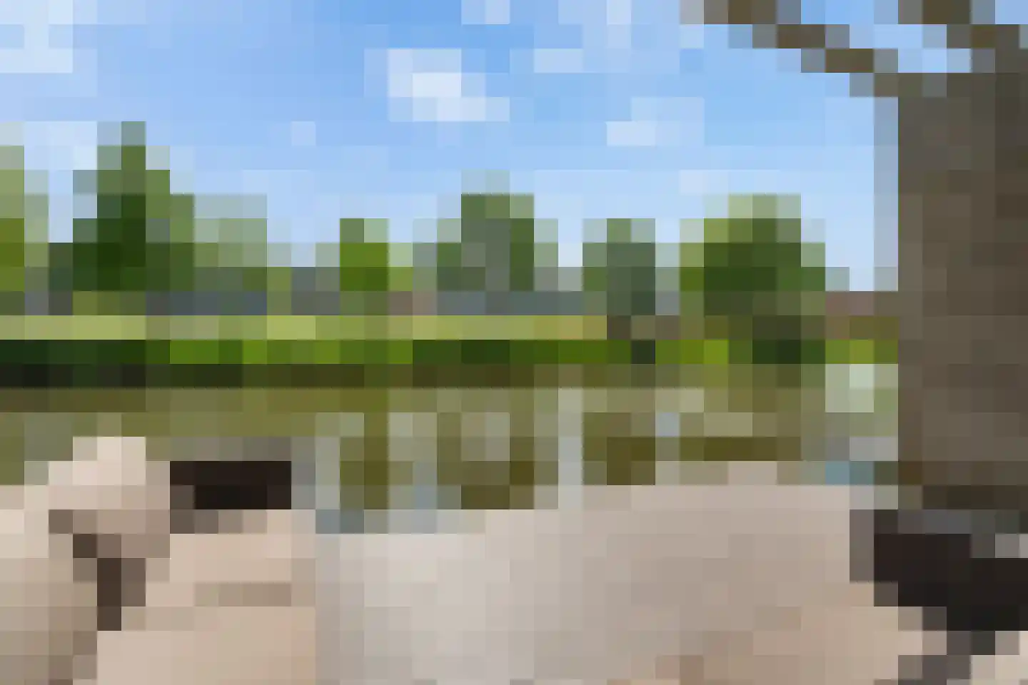 Ridderspoortuin 4 Bergschenhoek thumbnail 47