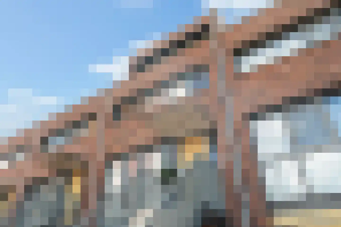 Ridderspoortuin 4 Bergschenhoek thumbnail 6