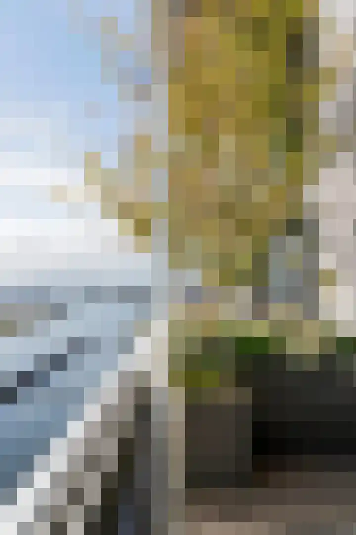 Ridderspoorweg 190 Amsterdam thumbnail 19