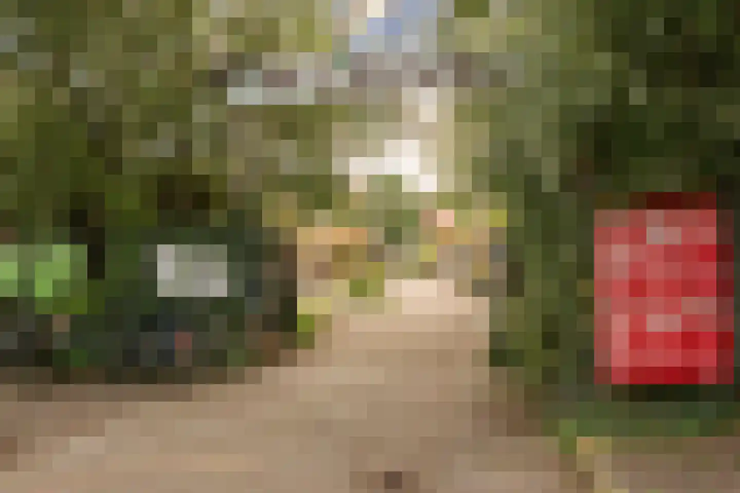Ridderspoorweg 253 Amsterdam thumbnail 37
