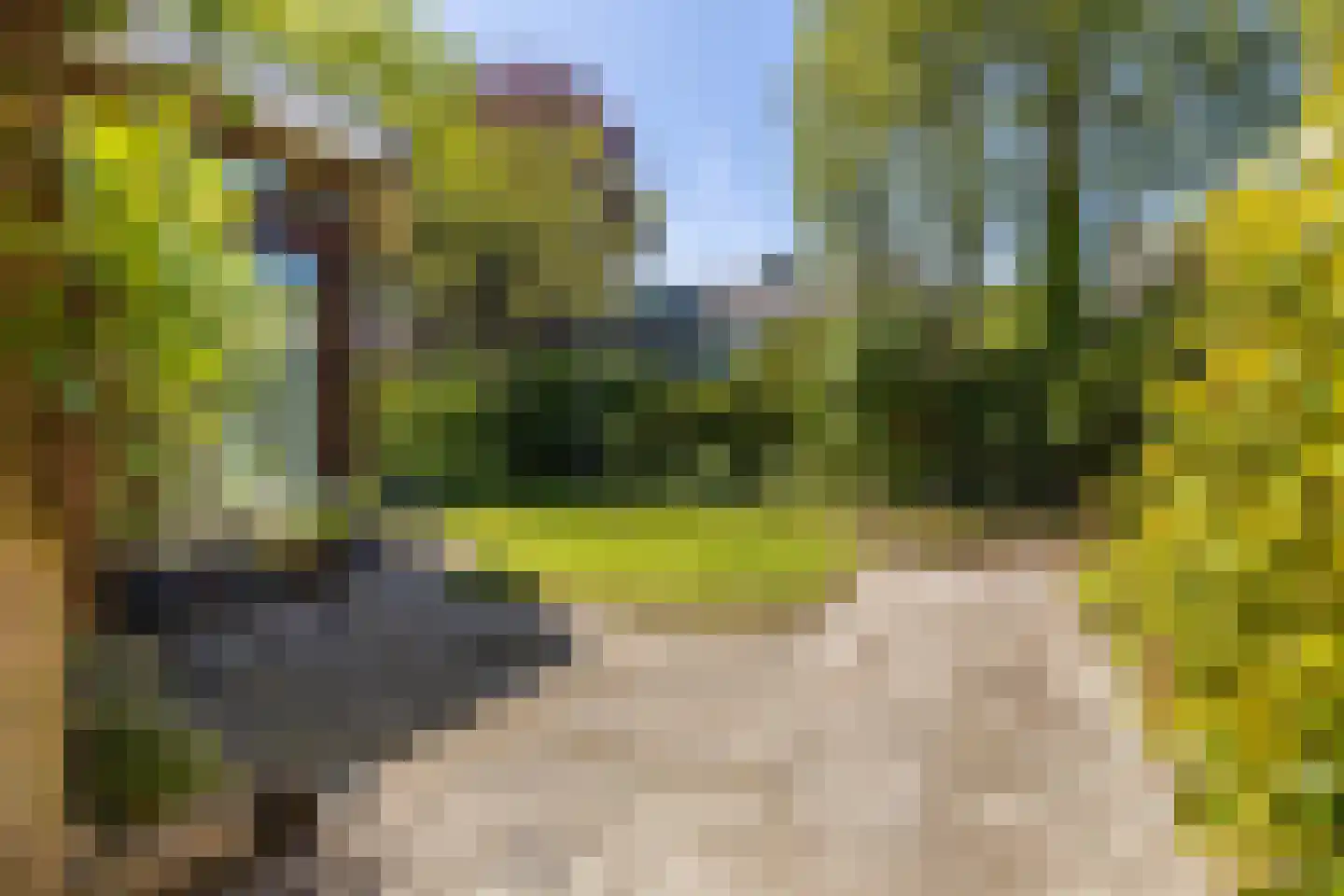 Ridderspoorweg 44 Haren Gn thumbnail 37