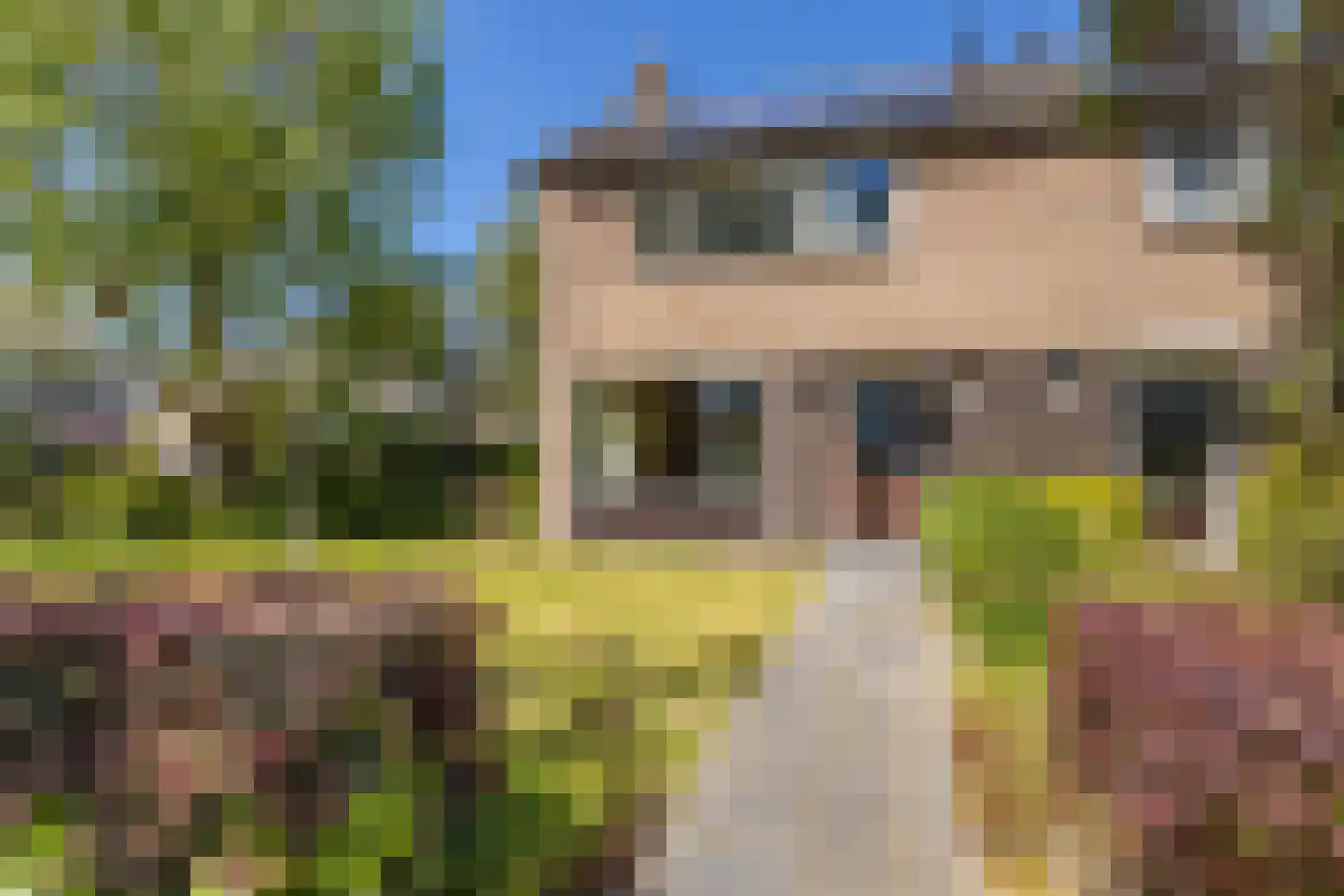 Ridderspoorweg 44 Haren Gn thumbnail 43
