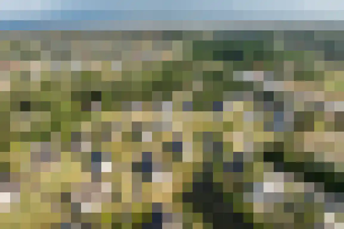 Ridderstee 104 Ouddorp thumbnail 45