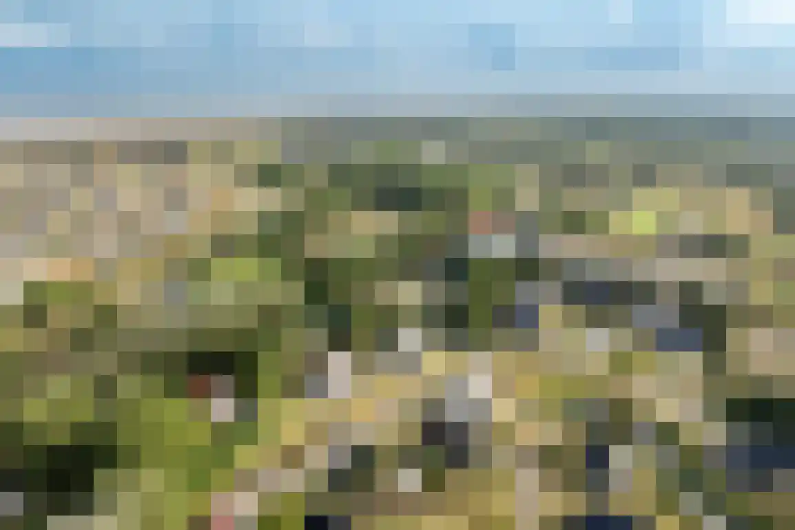 Ridderstee 104 Ouddorp thumbnail 46