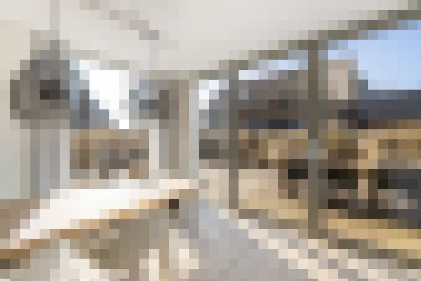 Ridderstee 202 Ouddorp thumbnail 11
