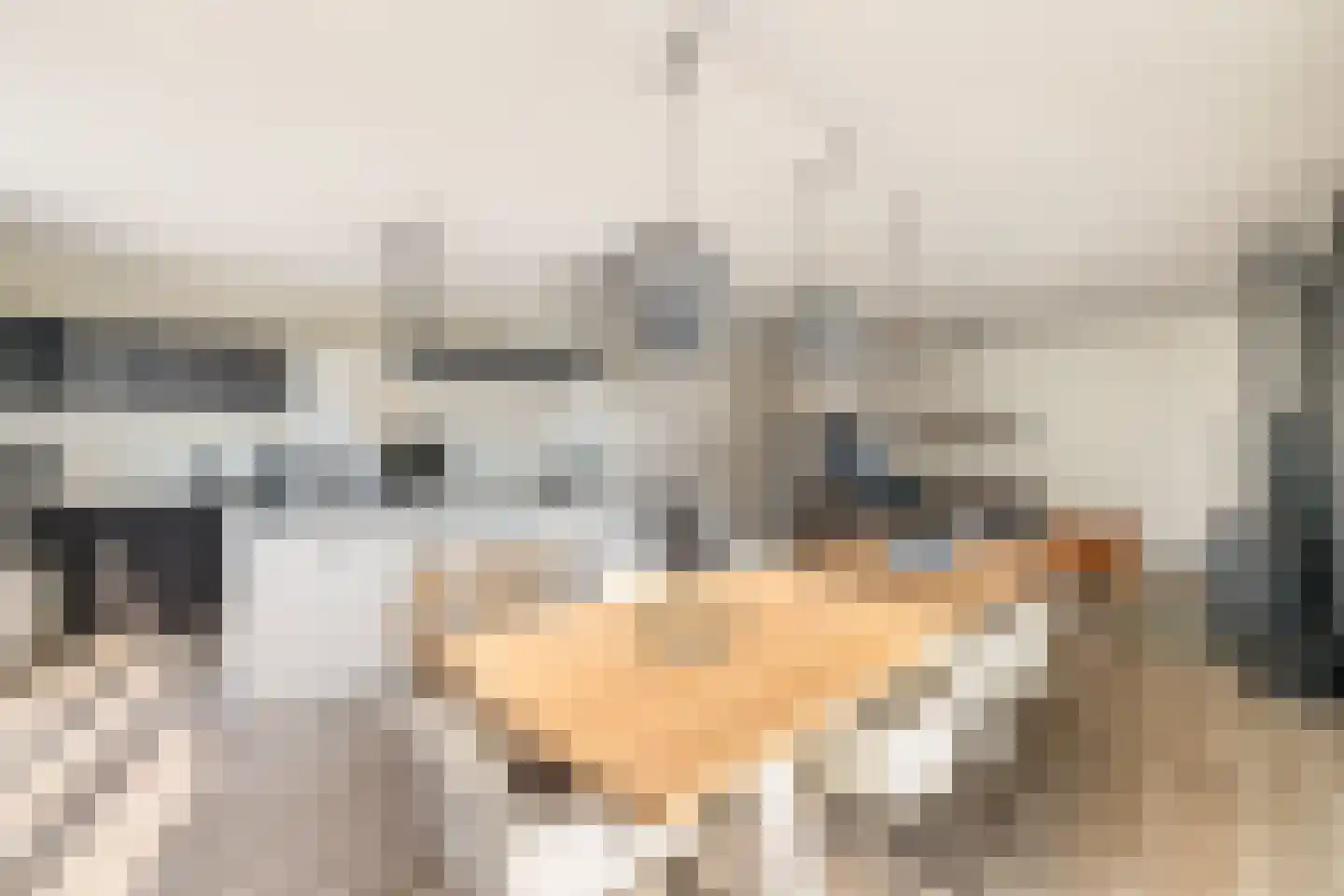 Ridderstee 202 Ouddorp thumbnail 13