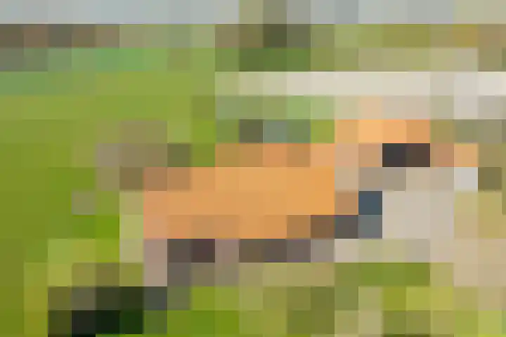 Ridderstee 202 Ouddorp thumbnail 15