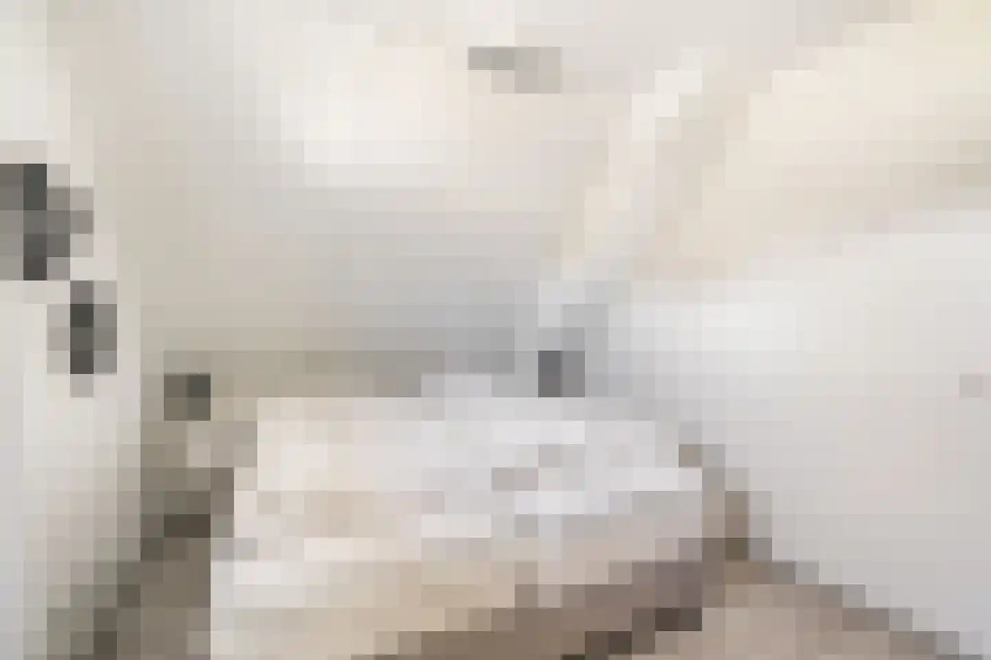 Ridderstee 202 Ouddorp thumbnail 19