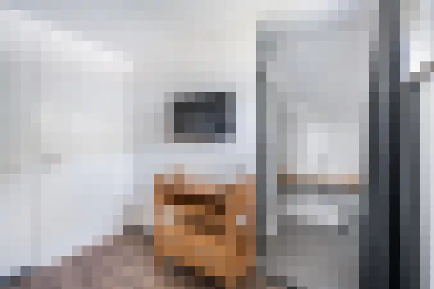 Ridderstee 226 Ouddorp thumbnail 21