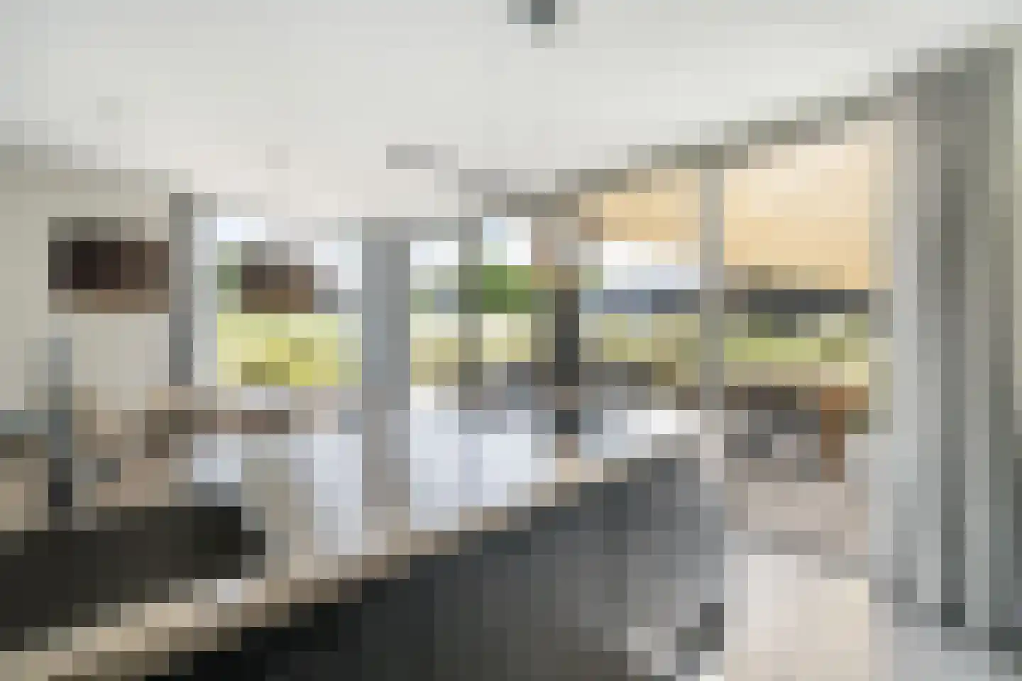 Ridderstee 226 Ouddorp thumbnail 5