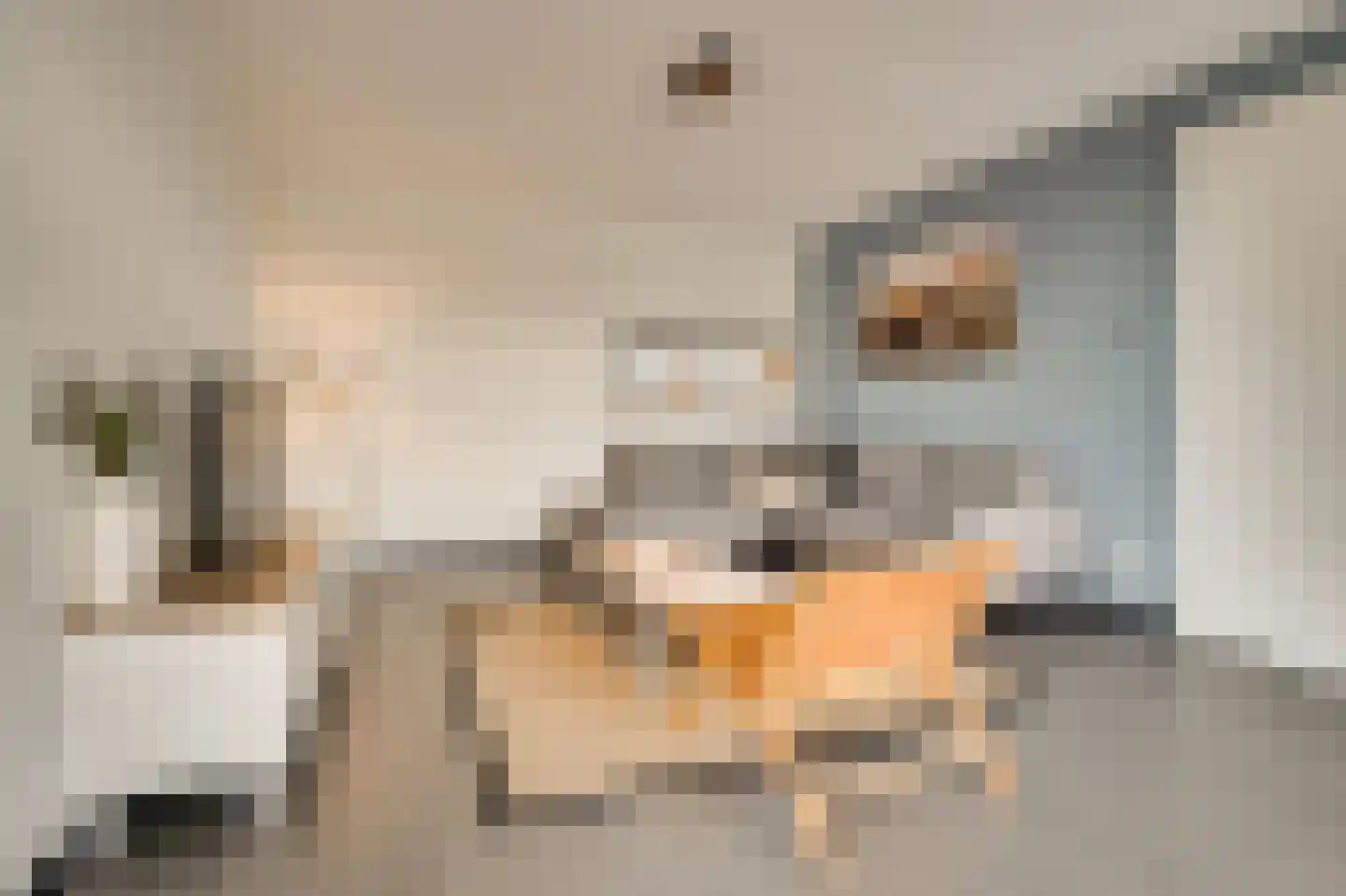 Ridderstee 230 Ouddorp thumbnail 5