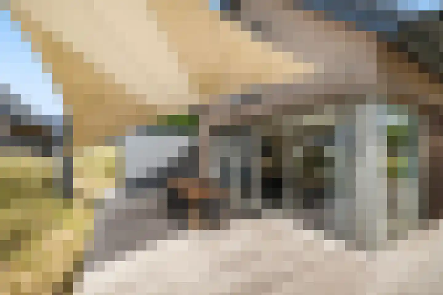 Ridderstee 233 Ouddorp thumbnail 31