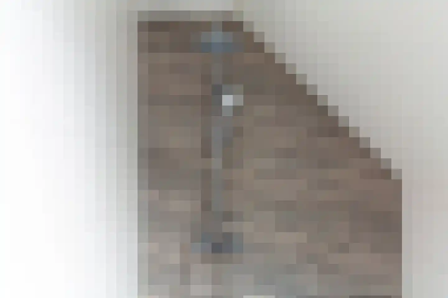 Ridderstee 245 Ouddorp thumbnail 24