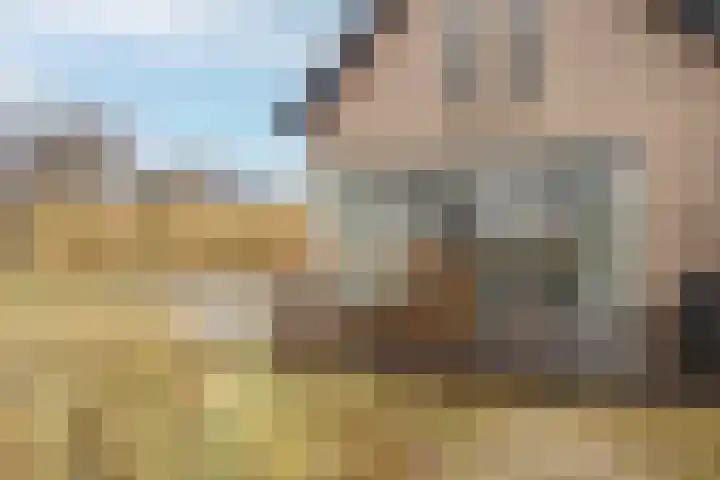 Ridderstee 245 Ouddorp thumbnail 30