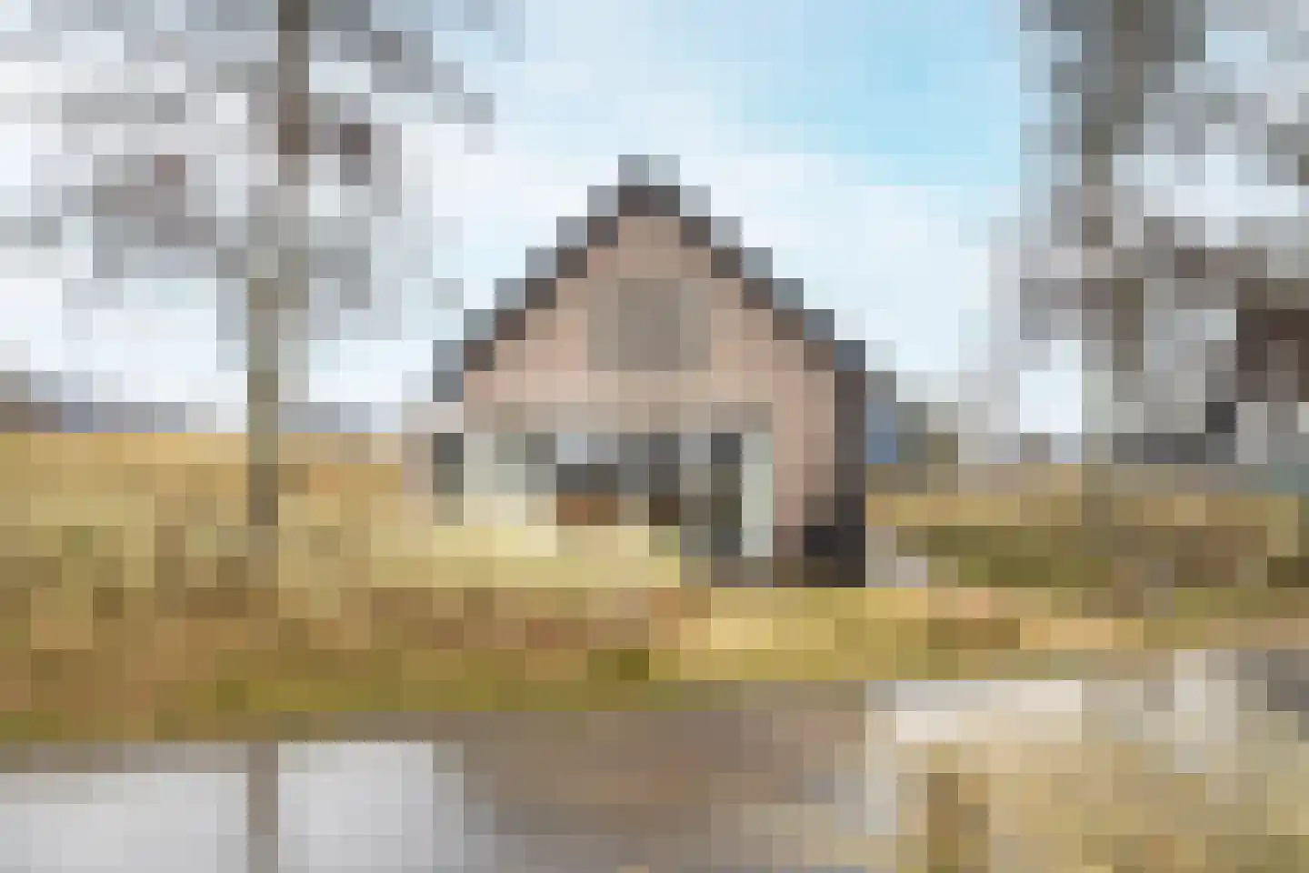 Ridderstee 245 Ouddorp thumbnail 31
