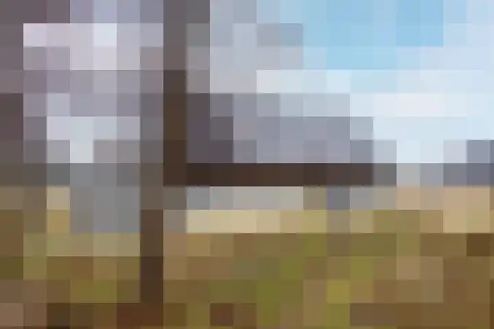 Ridderstee 245 Ouddorp thumbnail 32