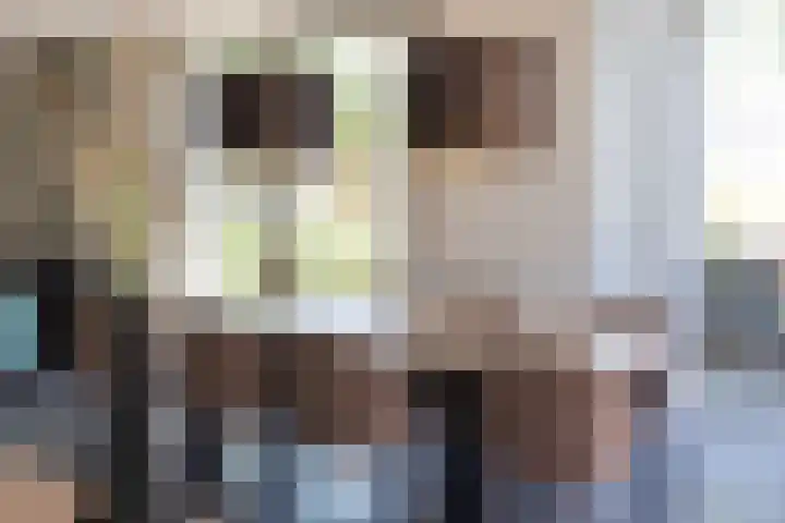 Ridderstee 246 Ouddorp thumbnail 20