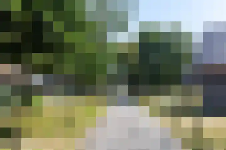 Ridderstee 246 Ouddorp thumbnail 7