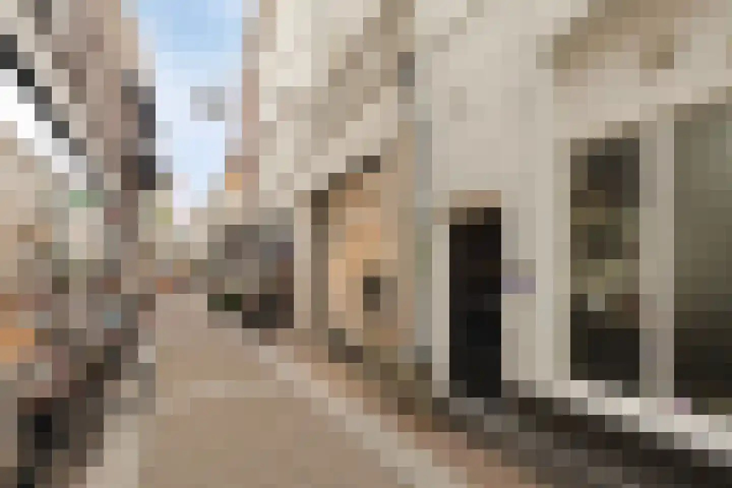 Ridderstraat 1 B 's-Hertogenbosch thumbnail 11