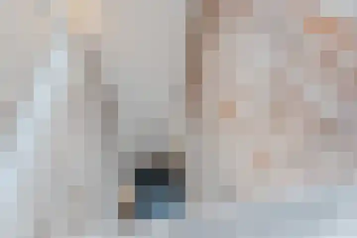 Ridderstraat 1 Culemborg thumbnail 36