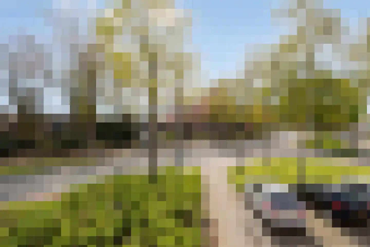 Ridderstraat 105 Oosterhout thumbnail 4
