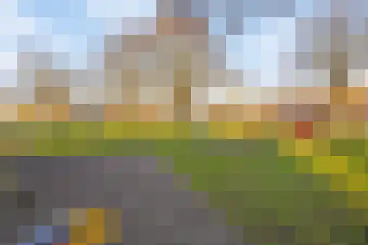 Ridderstraat 12 Wouw thumbnail 26