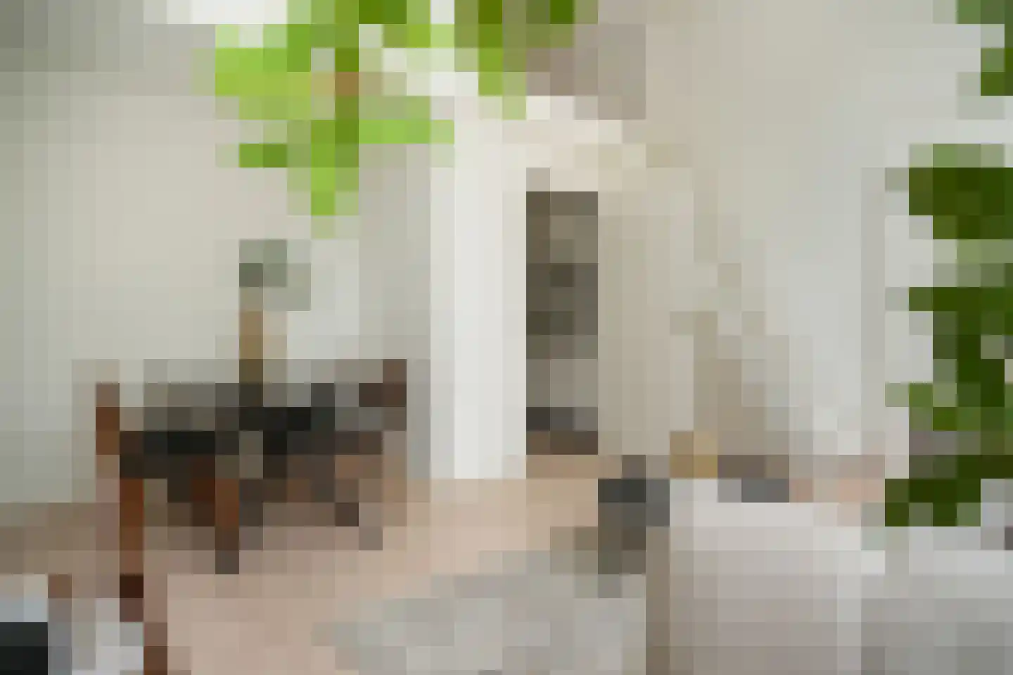 Ridderstraat 14 Culemborg thumbnail 11