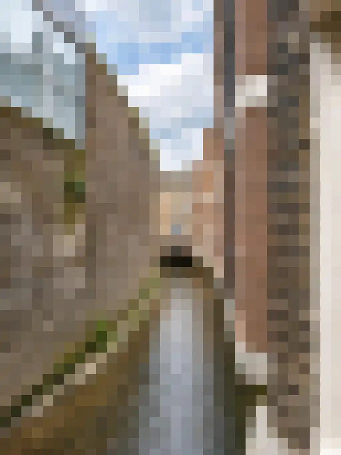 Ridderstraat 14 Maastricht thumbnail 4