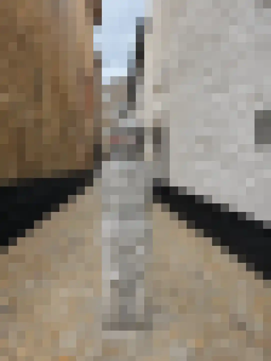 Ridderstraat 14 Maastricht thumbnail 6