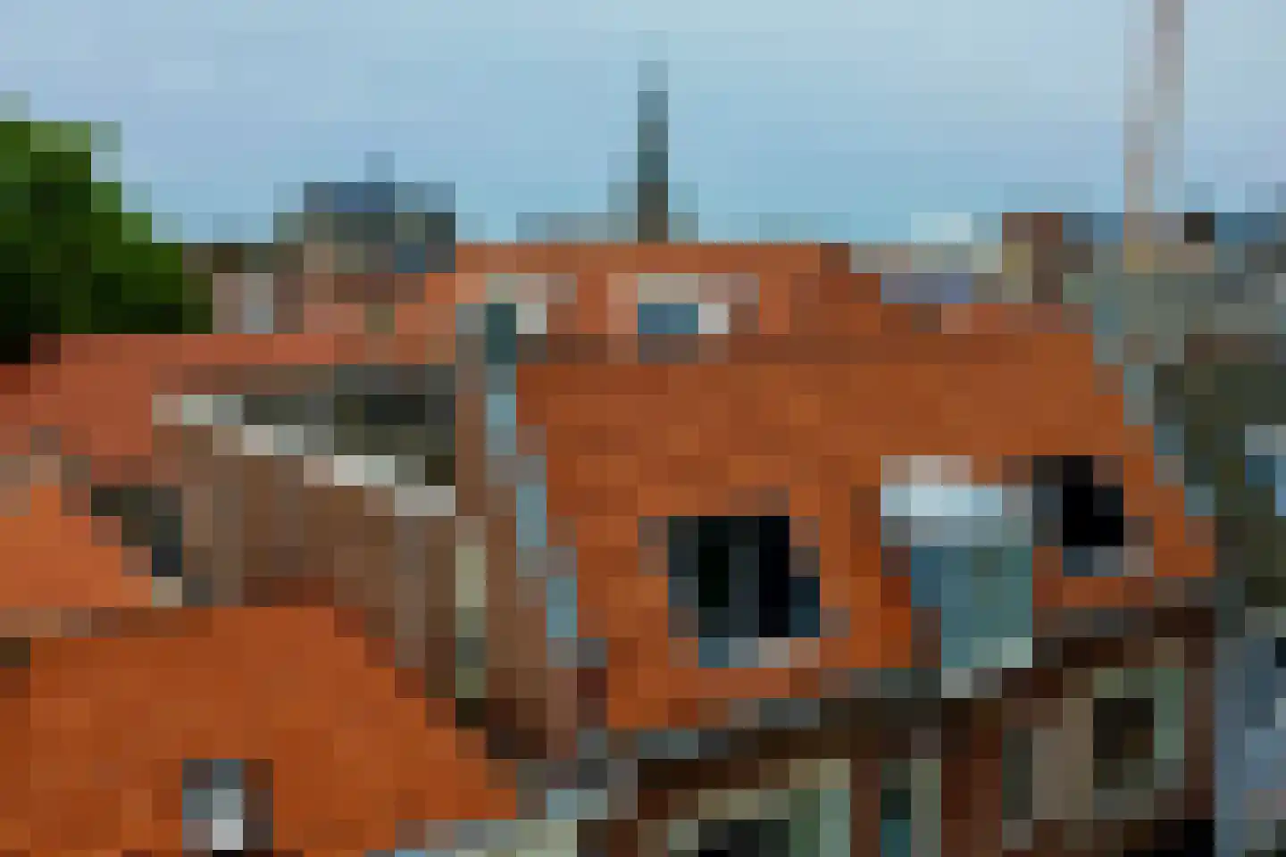 Ridderstraat 16 D Alkmaar thumbnail 16