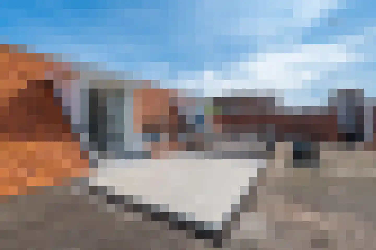 Ridderstraat 16 E Alkmaar thumbnail 35