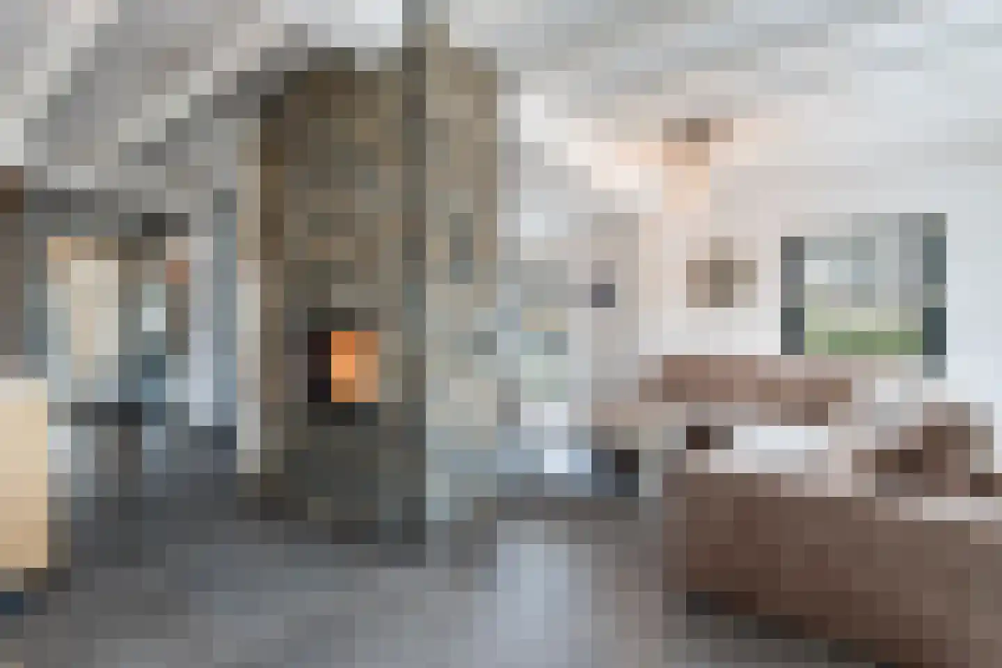 Ridderstraat 17 a Gameren thumbnail 12