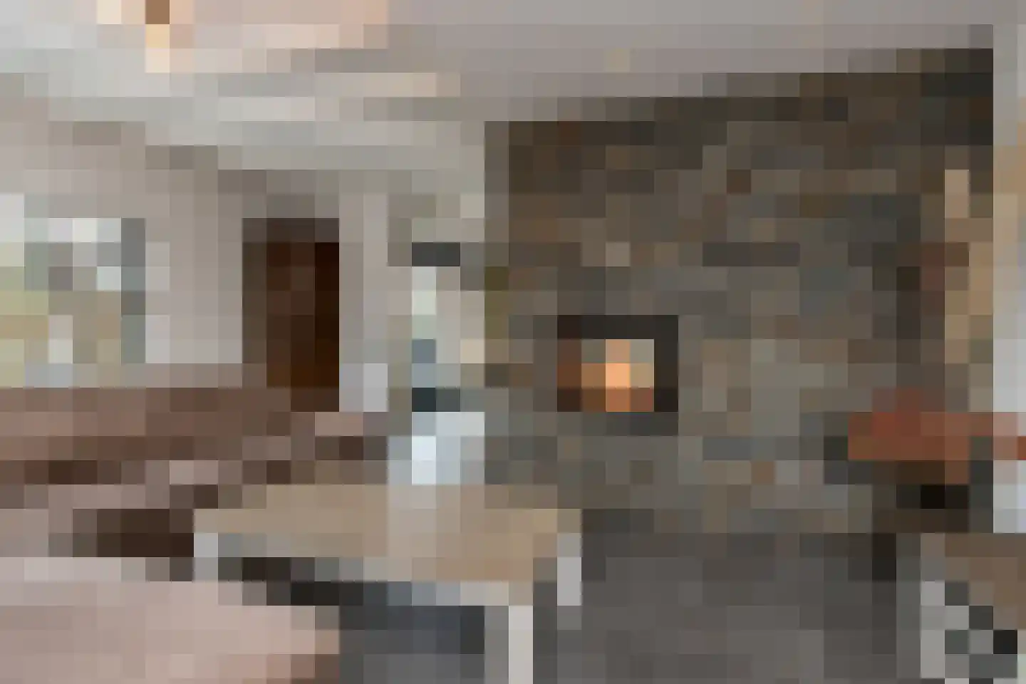 Ridderstraat 17 a Gameren thumbnail 14