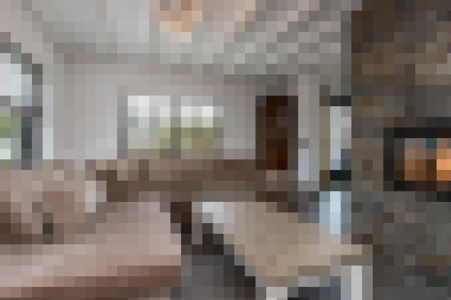 Ridderstraat 17 a Gameren thumbnail 15