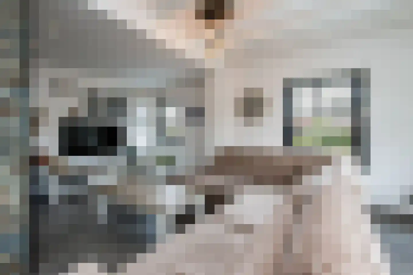 Ridderstraat 17 a Gameren thumbnail 16