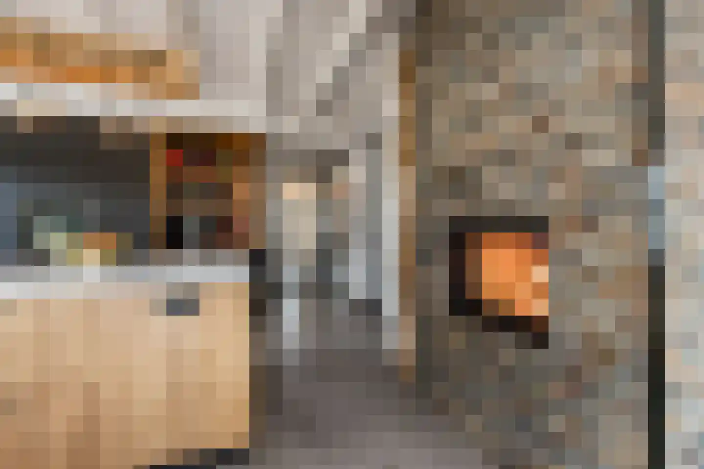 Ridderstraat 17 a Gameren thumbnail 19