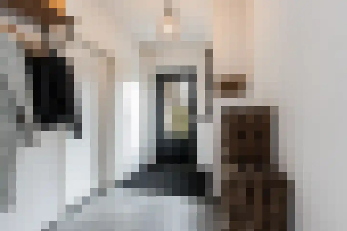 Ridderstraat 17 a Gameren thumbnail 20