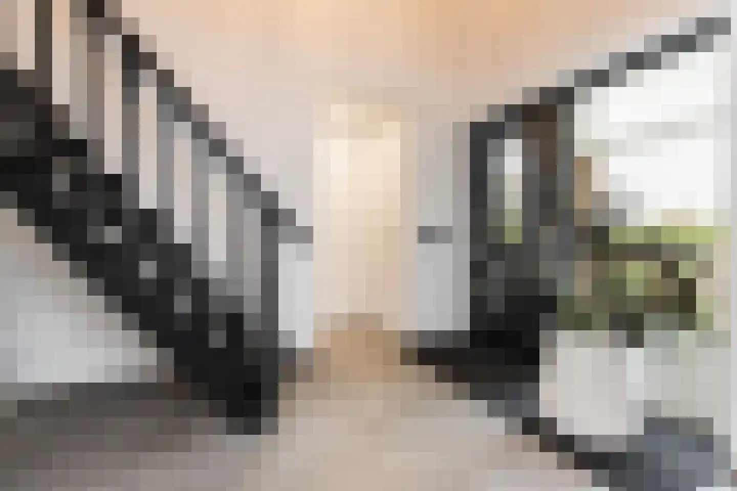 Ridderstraat 17 a Gameren thumbnail 24