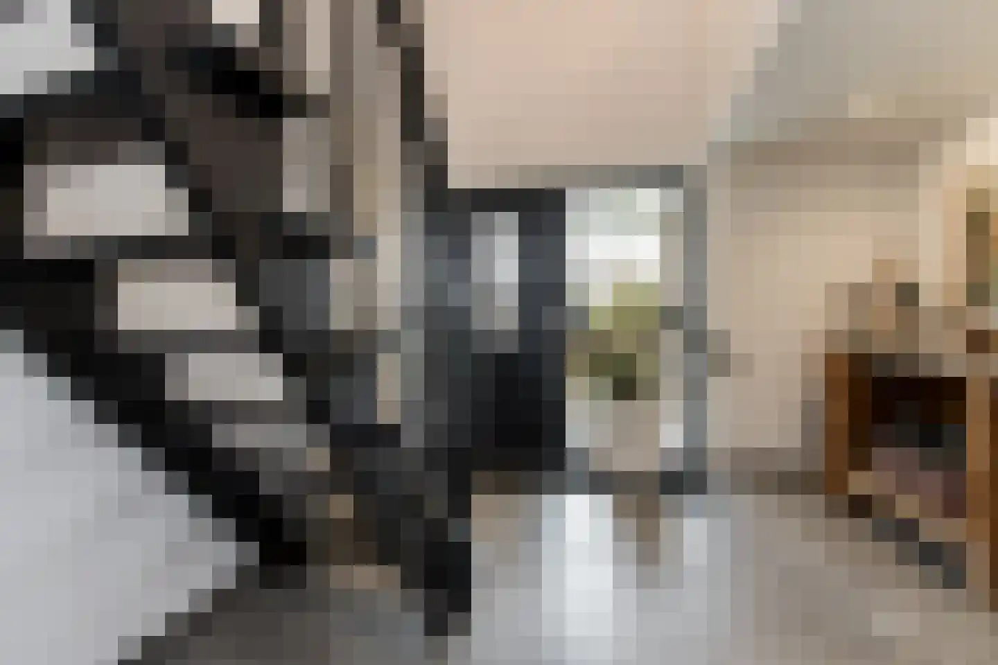 Ridderstraat 17 a Gameren thumbnail 25