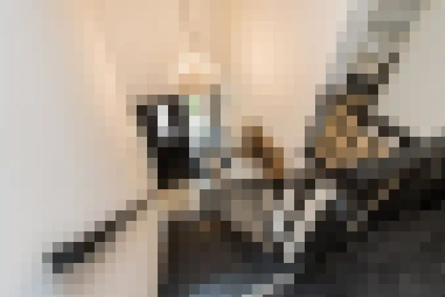 Ridderstraat 17 a Gameren thumbnail 32