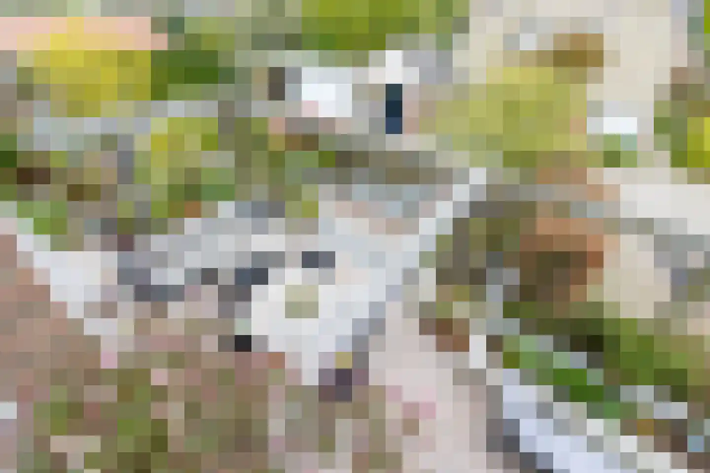 Ridderstraat 17 a Gameren thumbnail 37