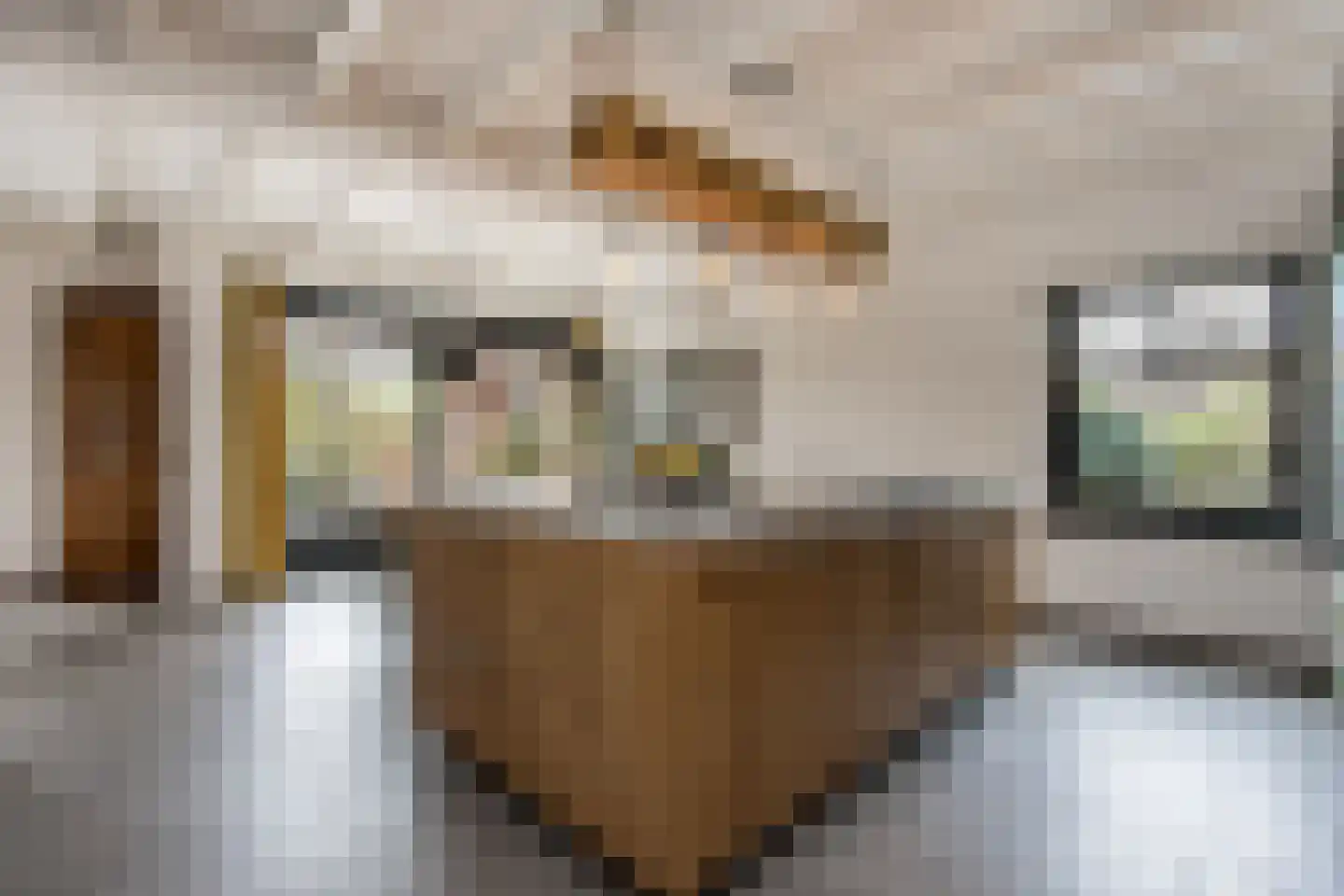 Ridderstraat 17 a Gameren thumbnail 5