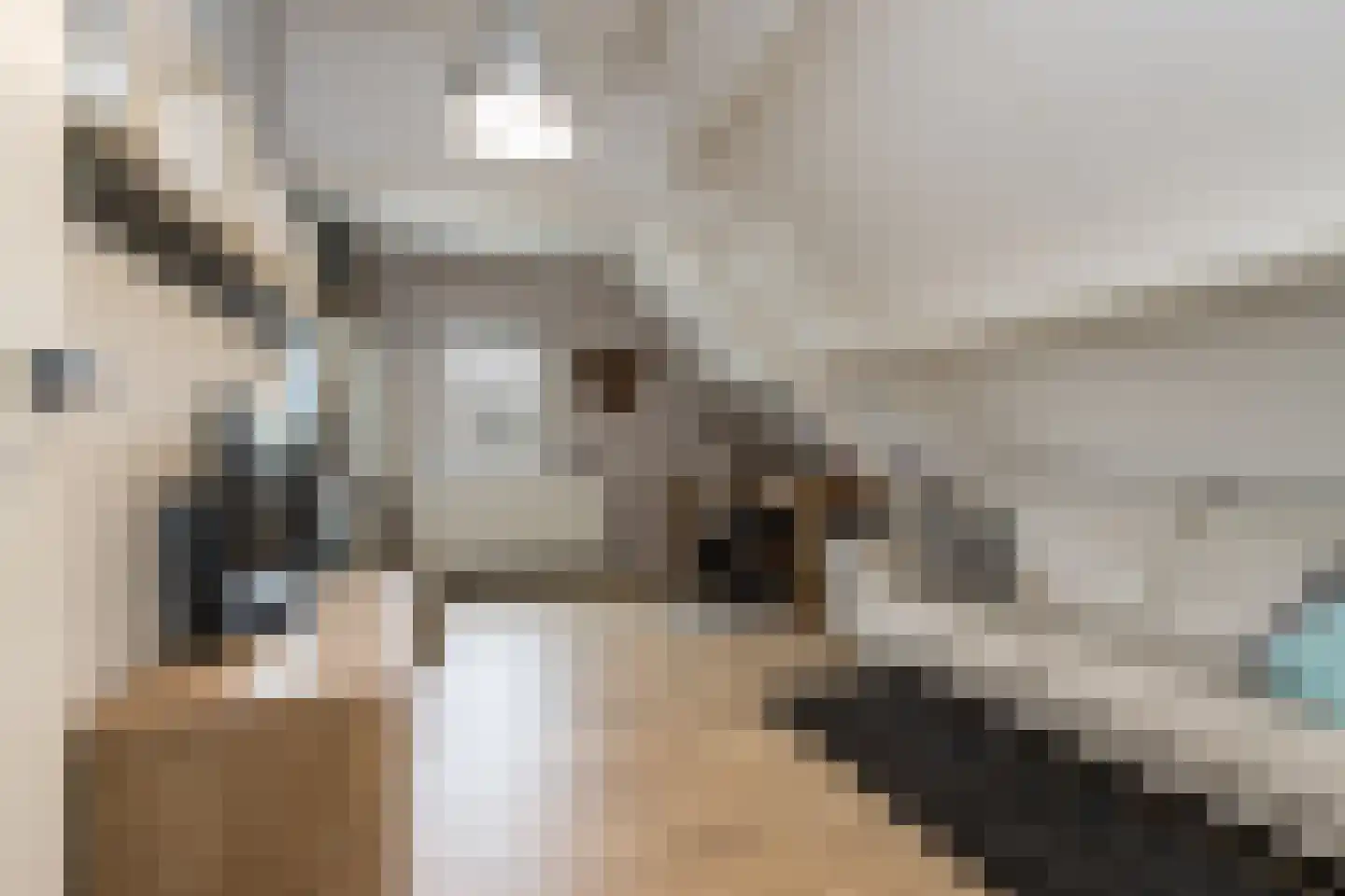 Ridderstraat 17 a Gameren thumbnail 54