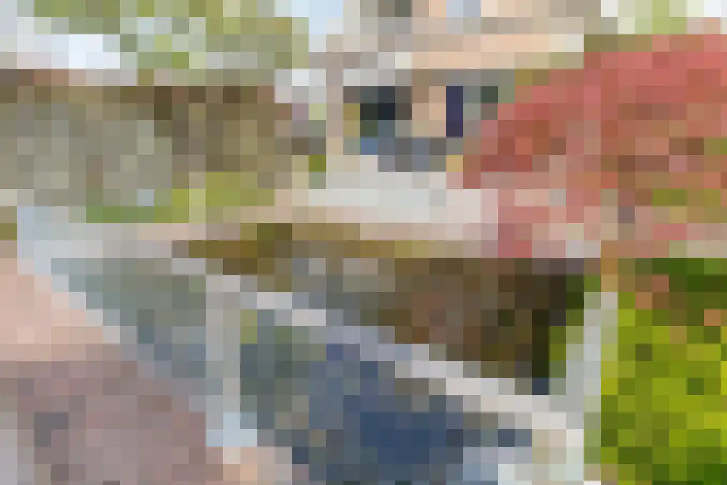 Ridderstraat 17 a Gameren thumbnail 59