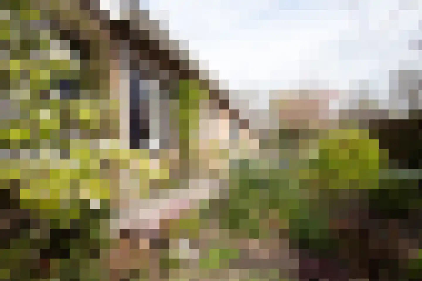 Ridderstraat 17 a Gameren thumbnail 62